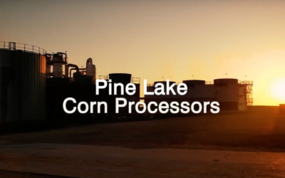 Pine Lake Corn Processors