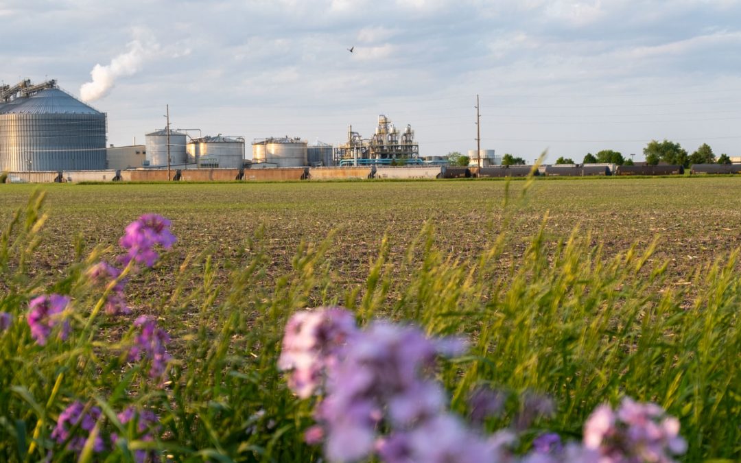Whitefox is looking forward to speak at the 2021 Growth Energy Leadership