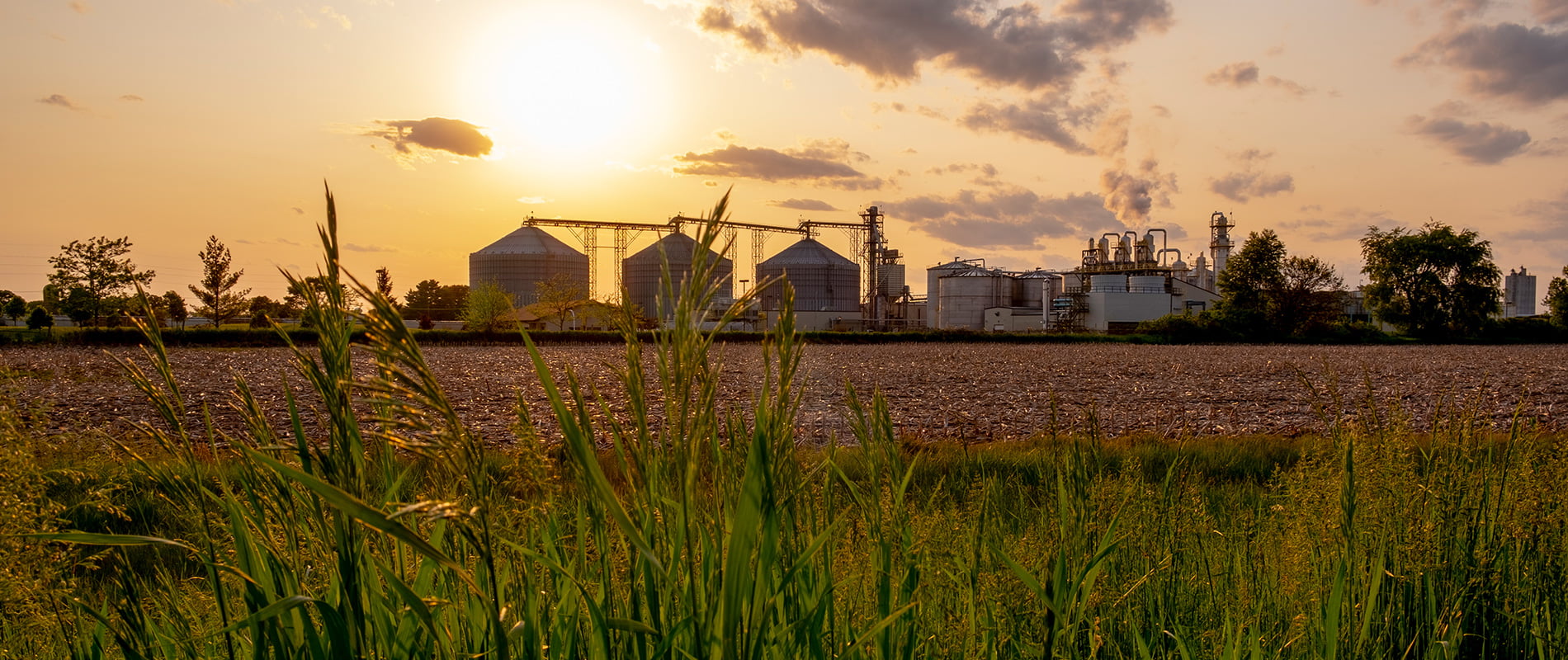 Accelerating Innovation and Energy Savings in order to make Net Zero a Reality