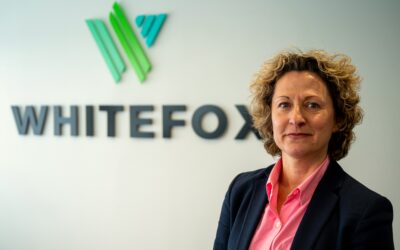 Whitefox Reflects on Q1 2024