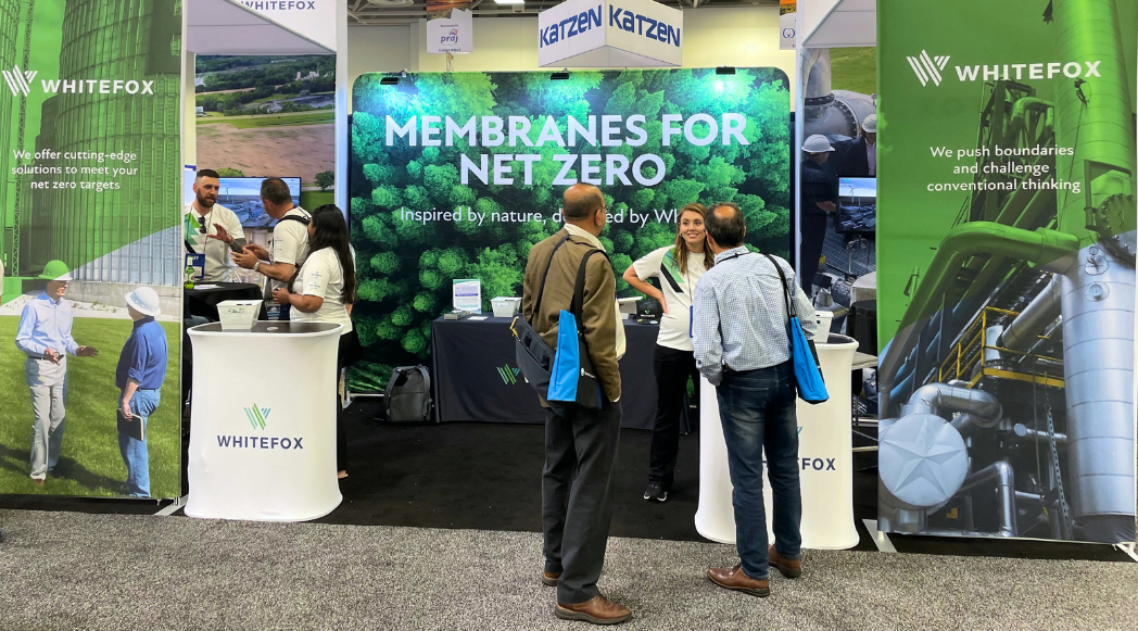 Whitefox Reflects on Q2 2024